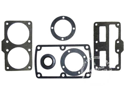 00291-3 Complete Gasket and Seal Kit - for N75 Pump